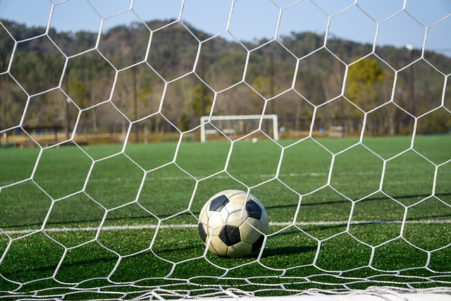 的排名不仅 的排名不仅