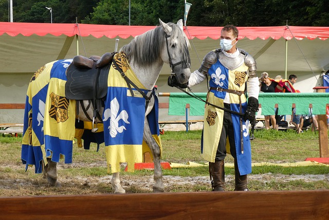 仅展现了皇 仅展现了皇