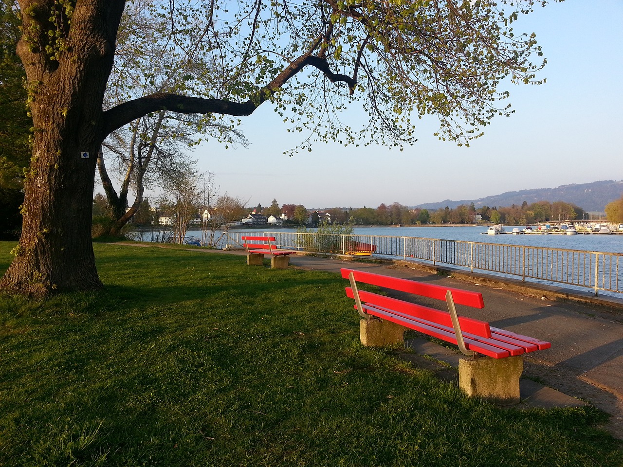 他涉足不动 他涉足不动